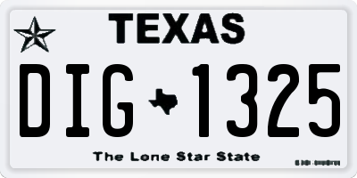 TX license plate DIG1325