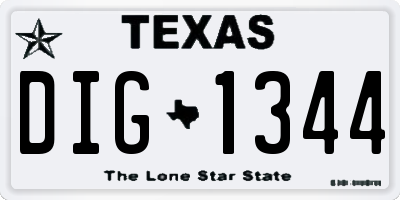 TX license plate DIG1344