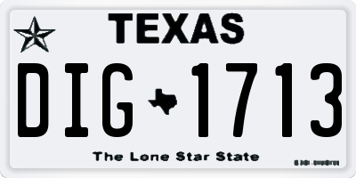 TX license plate DIG1713