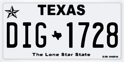 TX license plate DIG1728
