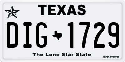 TX license plate DIG1729