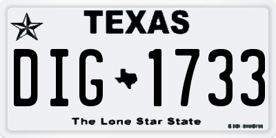 TX license plate DIG1733