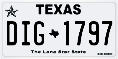 TX license plate DIG1797