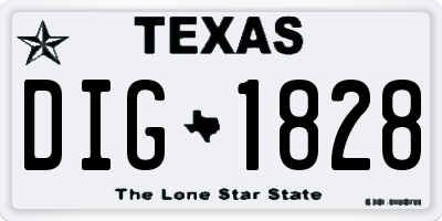 TX license plate DIG1828