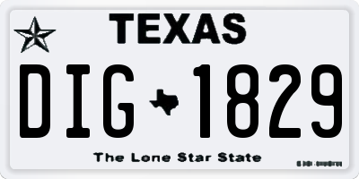 TX license plate DIG1829