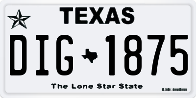 TX license plate DIG1875