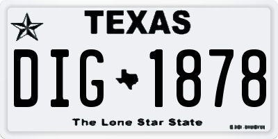 TX license plate DIG1878