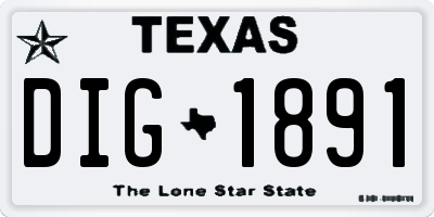 TX license plate DIG1891