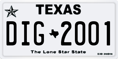 TX license plate DIG2001