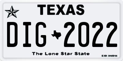 TX license plate DIG2022
