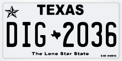 TX license plate DIG2036