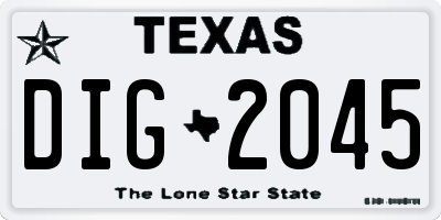 TX license plate DIG2045