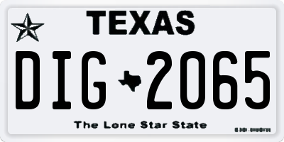 TX license plate DIG2065