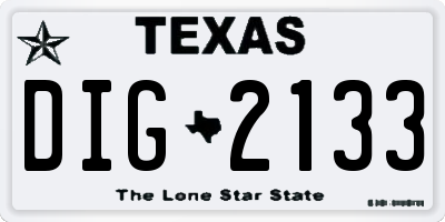 TX license plate DIG2133