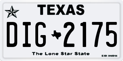 TX license plate DIG2175