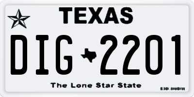 TX license plate DIG2201