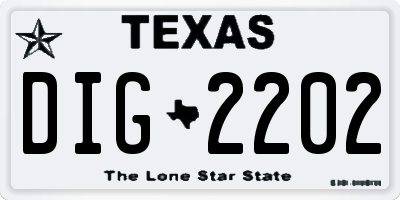 TX license plate DIG2202