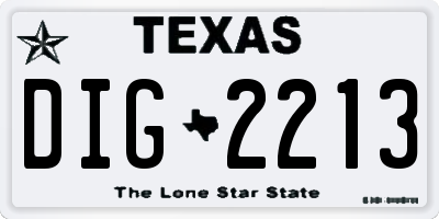 TX license plate DIG2213