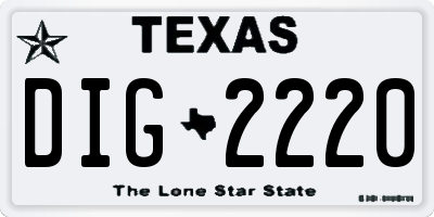 TX license plate DIG2220