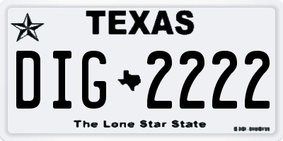 TX license plate DIG2222