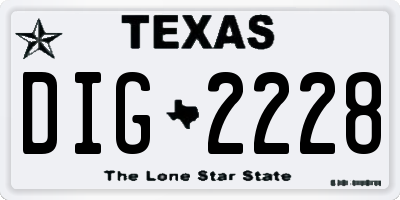 TX license plate DIG2228