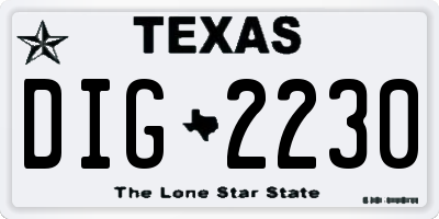 TX license plate DIG2230