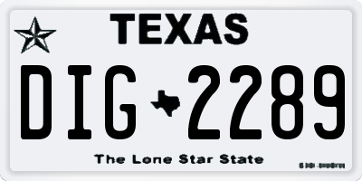 TX license plate DIG2289