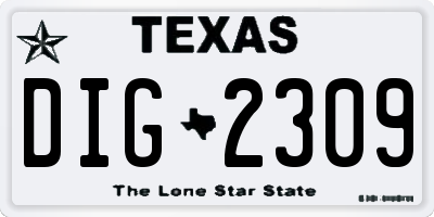 TX license plate DIG2309