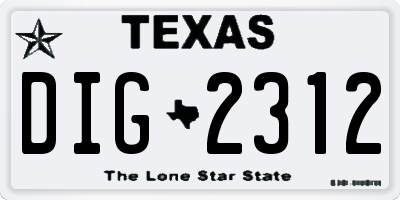 TX license plate DIG2312