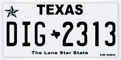 TX license plate DIG2313