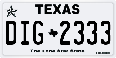 TX license plate DIG2333