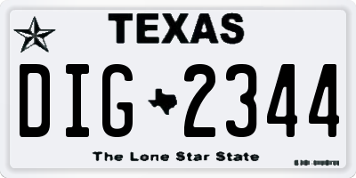 TX license plate DIG2344