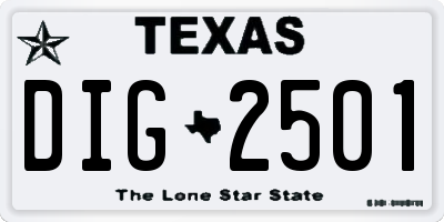 TX license plate DIG2501