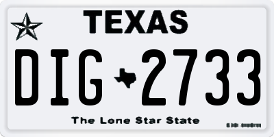 TX license plate DIG2733