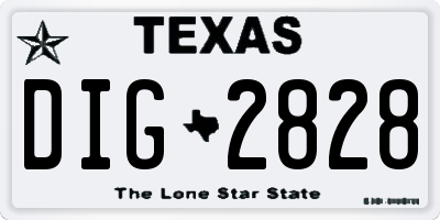 TX license plate DIG2828