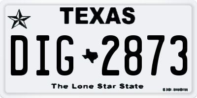 TX license plate DIG2873
