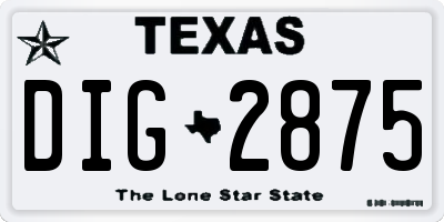 TX license plate DIG2875