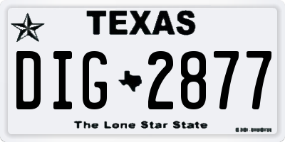 TX license plate DIG2877