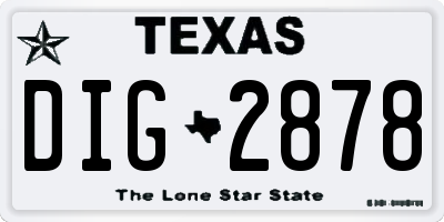 TX license plate DIG2878