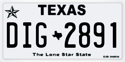 TX license plate DIG2891