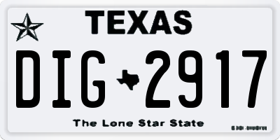 TX license plate DIG2917
