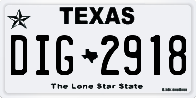 TX license plate DIG2918