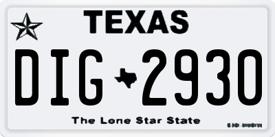 TX license plate DIG2930