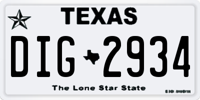 TX license plate DIG2934