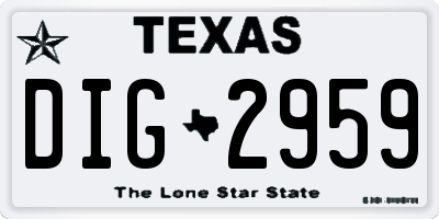 TX license plate DIG2959