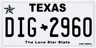 TX license plate DIG2960