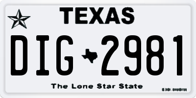 TX license plate DIG2981