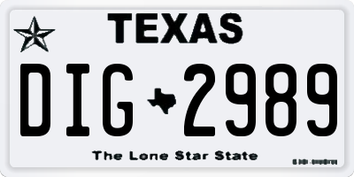 TX license plate DIG2989