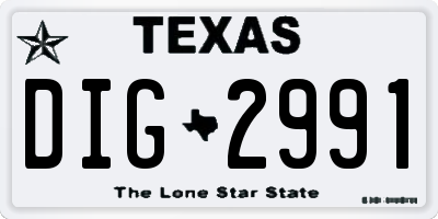 TX license plate DIG2991