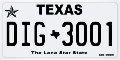TX license plate DIG3001